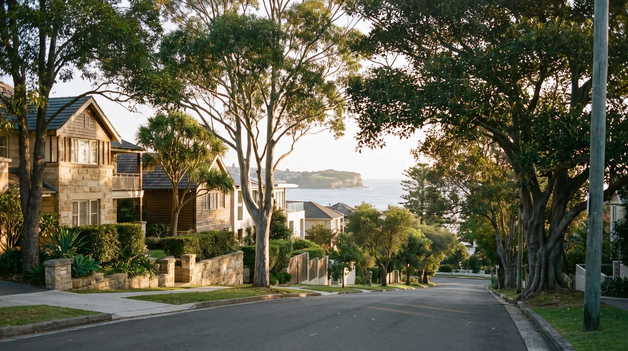 Homes and trees above Bronte’s park and coastal bay, illustrative residential scene