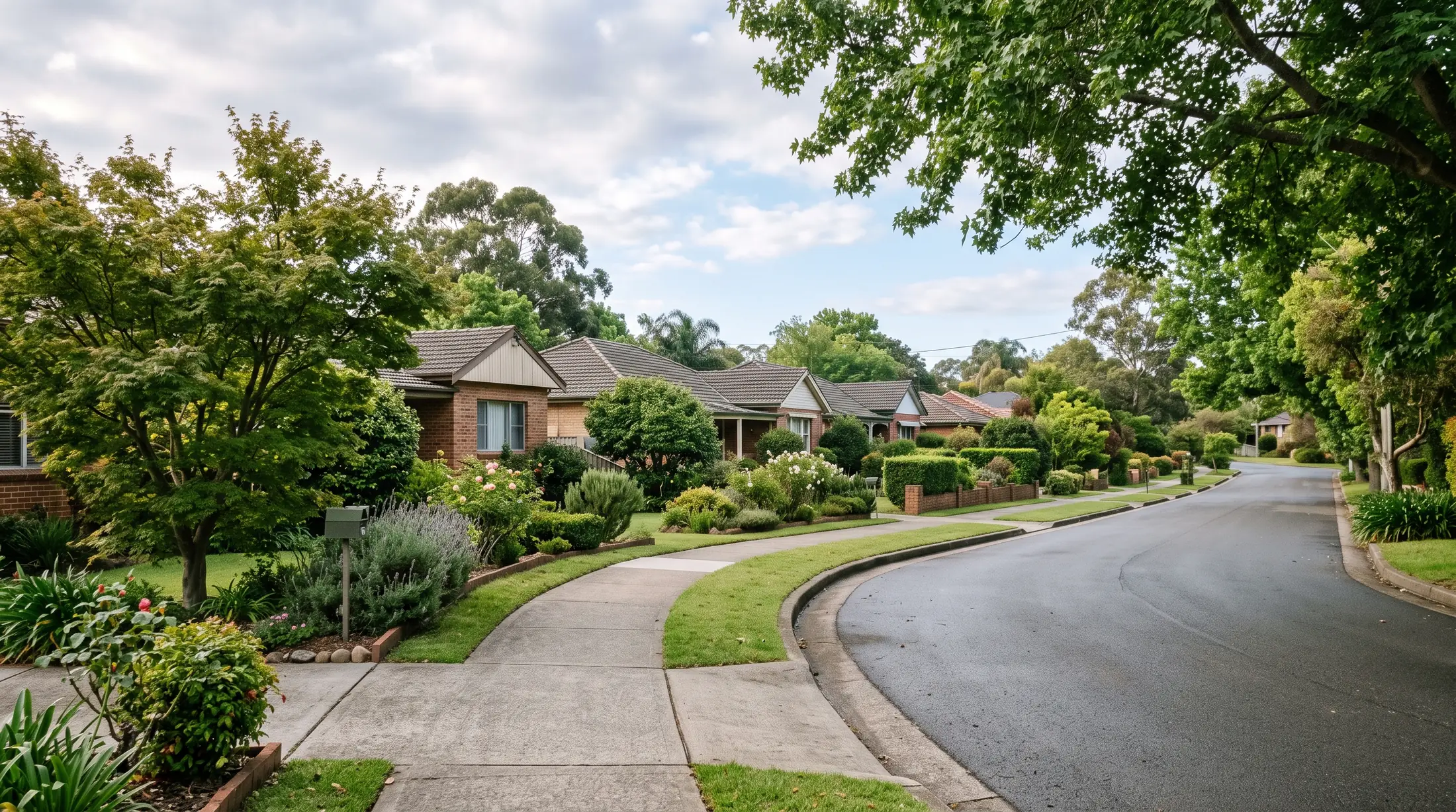 Houses and established gardens along a quiet Burwood Heights street, illustrative residential scene