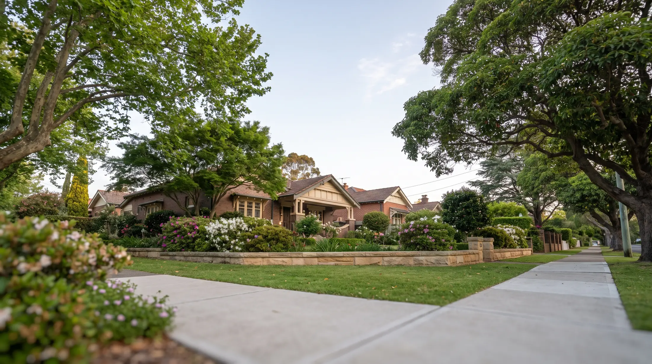 Homes and gardens along a leafy Concord West street, illustrative residential scene