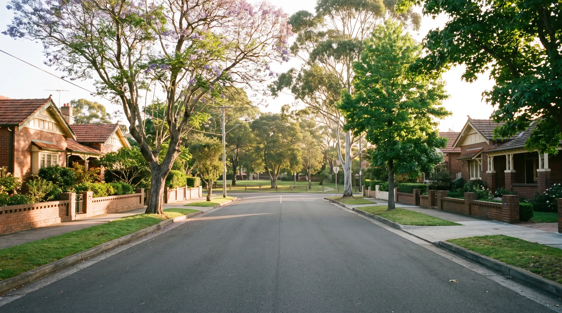 Concord homes and front gardens on a leafy residential street, illustrative residential scene