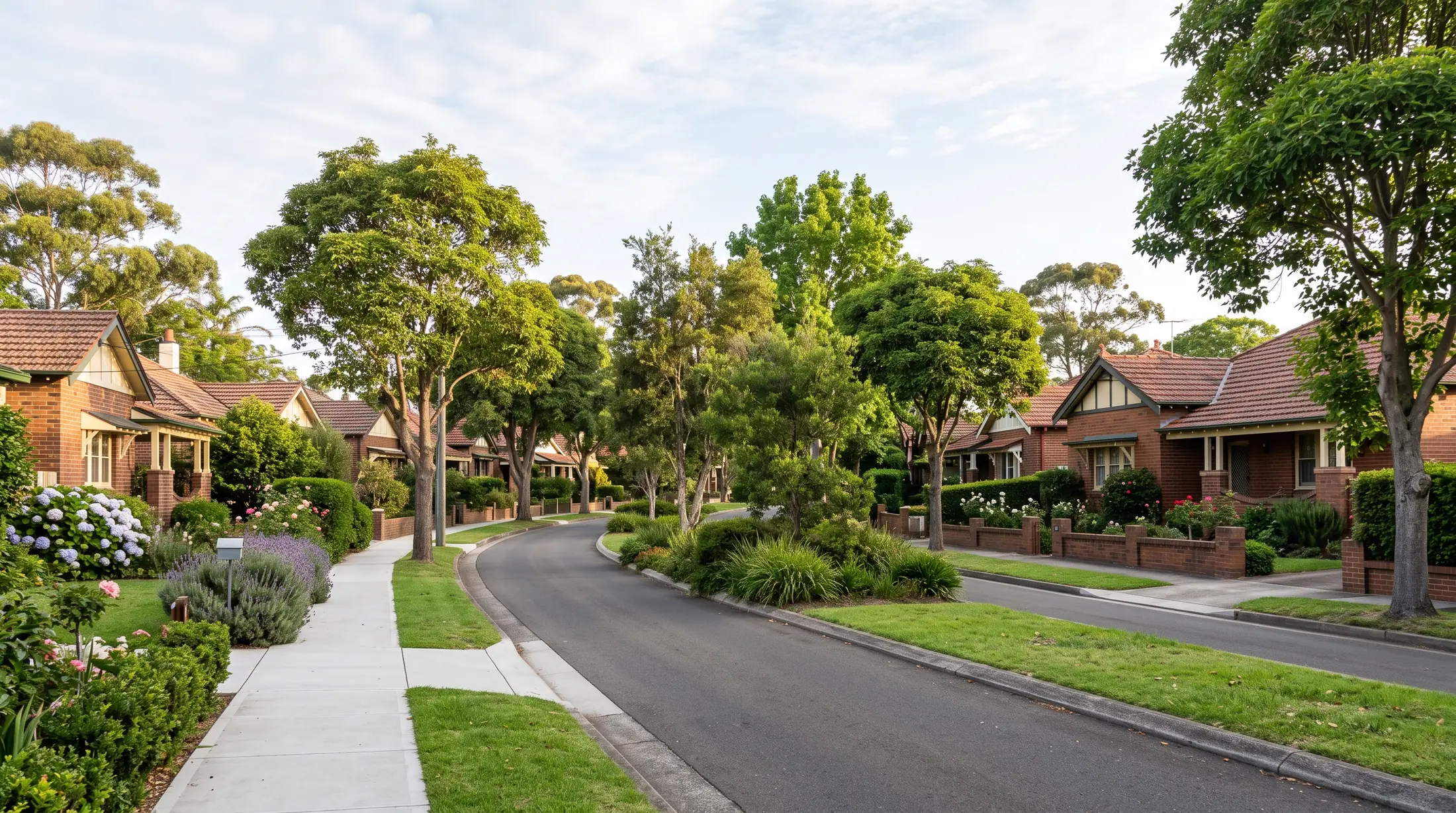 Garden suburb homes beside a tree lined Daceyville avenue, illustrative residential scene