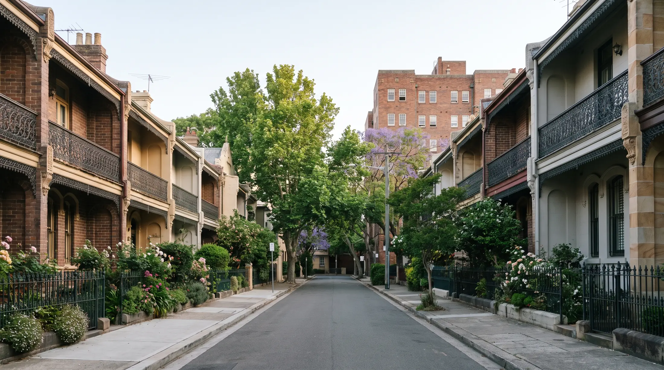 Terraced houses and apartments along a leafy Darlinghurst side street, illustrative residential scene