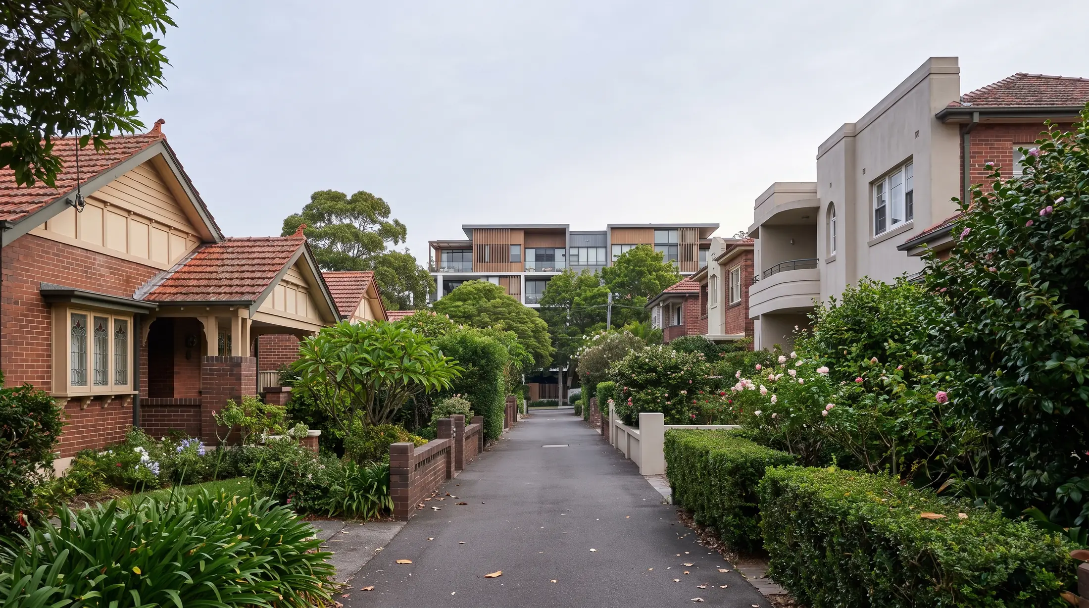 Dulwich Hill houses and gardens with apartments further along the street, illustrative residential scene