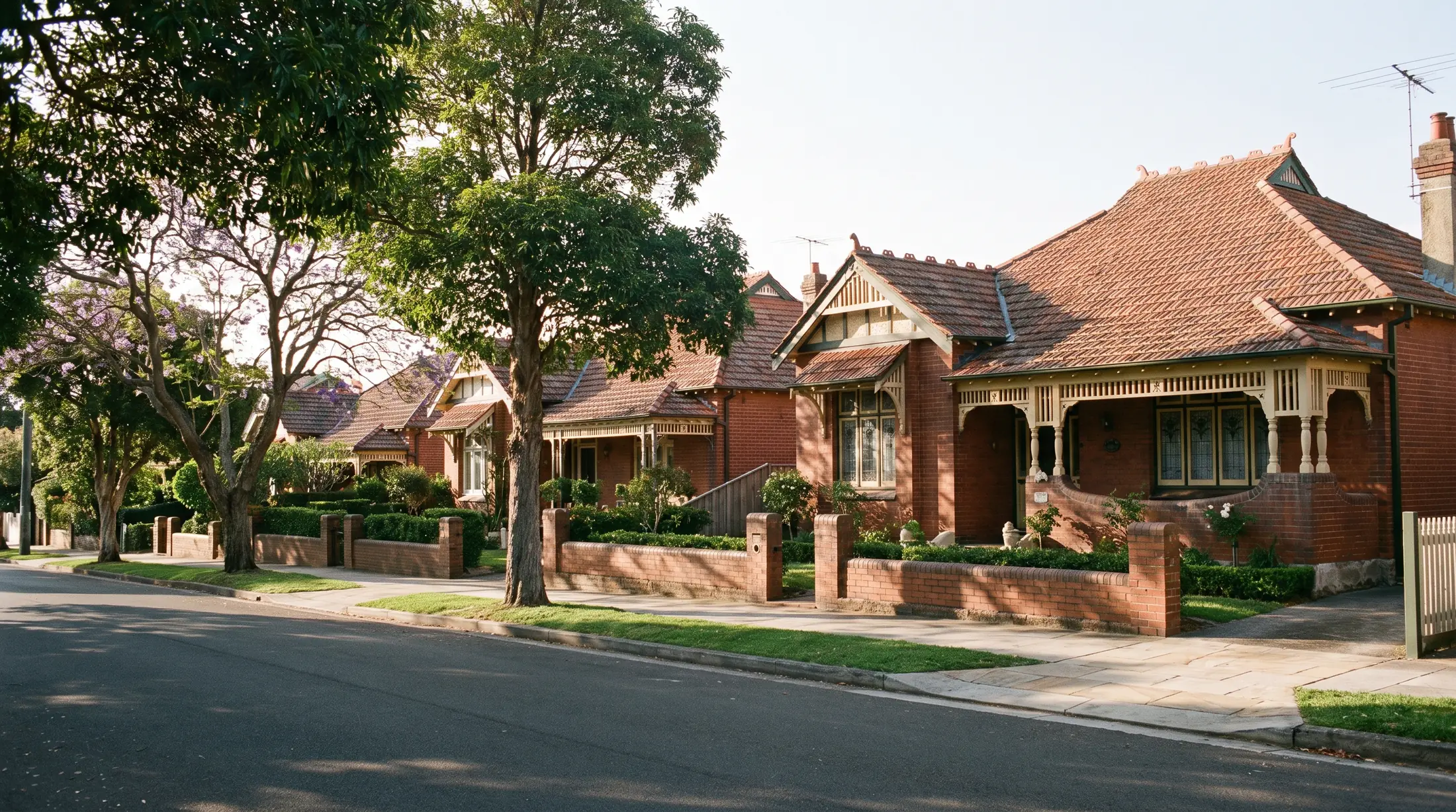 Federation homes with front gardens and tiled roofs along a Haberfield street, illustrative residential scene