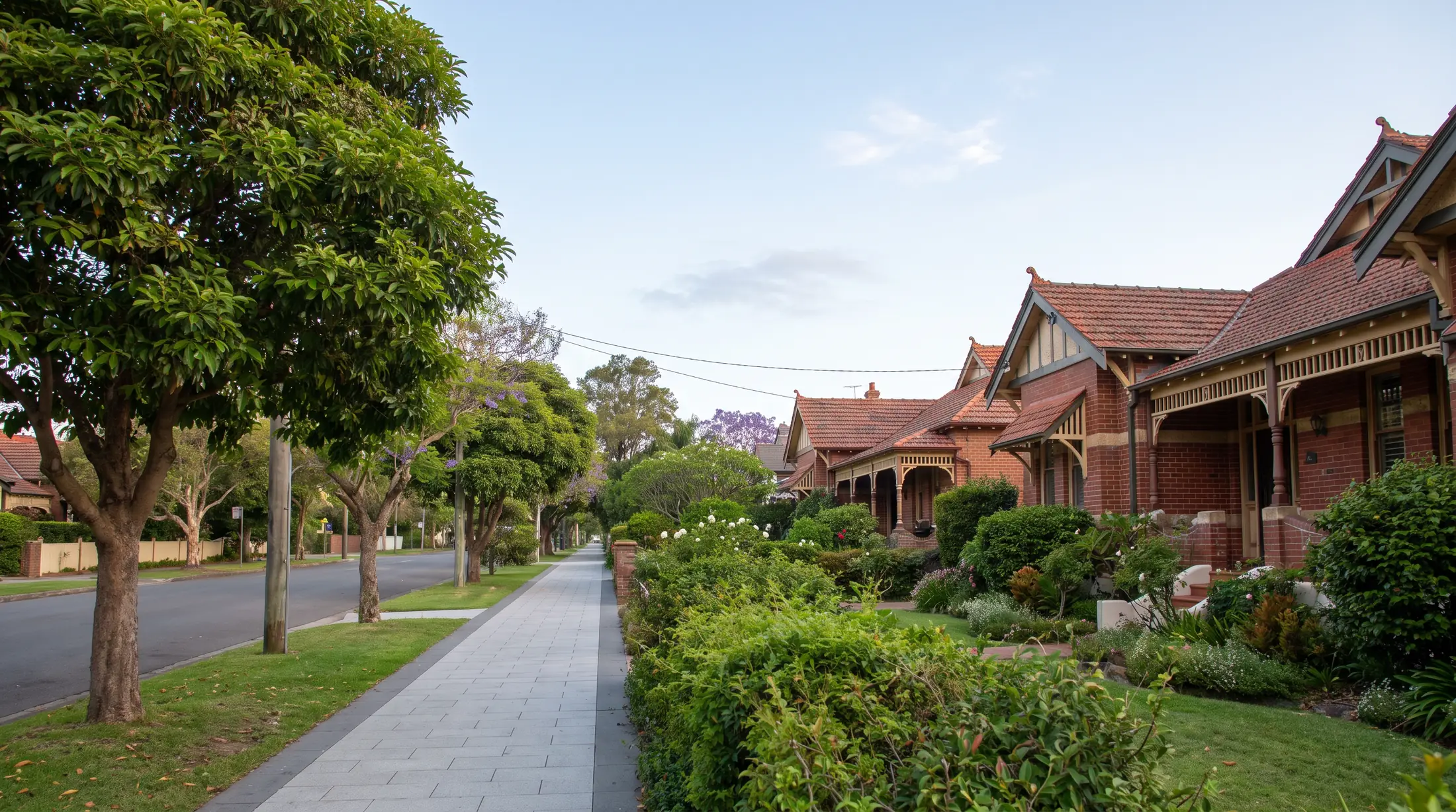 Substantial Federation houses behind established gardens on a broad Strathfield avenue, illustrative residential scene