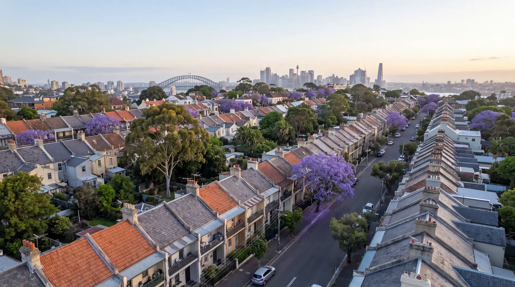 Sydney terraces and jacarandas with the Harbour Bridge and city behind